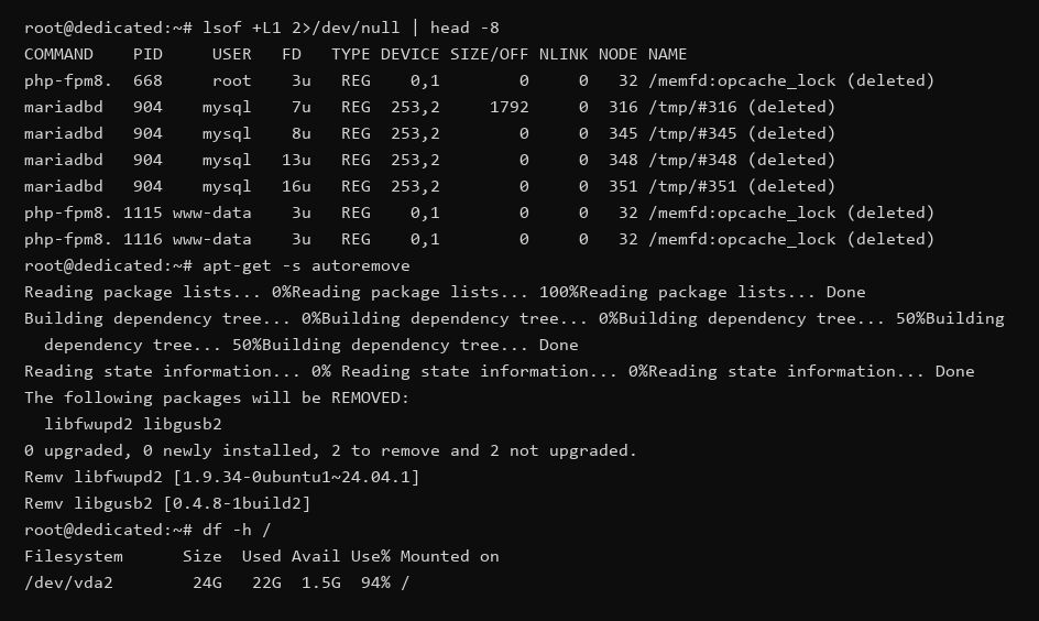 SSH-��������: lsof +L1, ��������� apt-get -s autoremove � ��������� df -h.