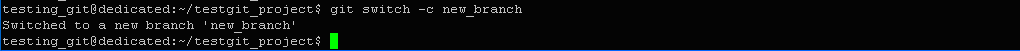 Switched to a new branch 'new_branch'