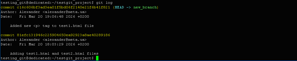 commit c16c606bf3ad3ea01f5bd06f2140e21f6b41f821 (HEAD -> new_branch)