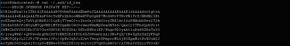 $ cat ~/.ssh/id_rsa