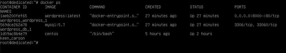Просмотр списка запущенных контейнеров