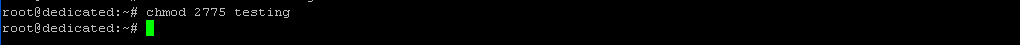 $ ls -ld testing