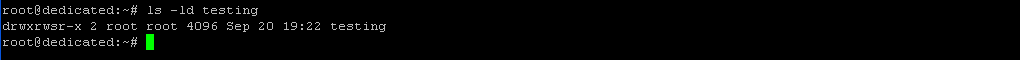 $ ls -ld testing