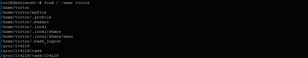 $ find / -user victor