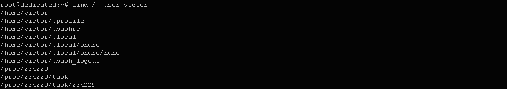 $ find / -user victor