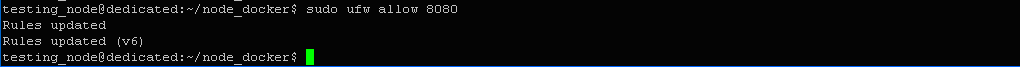 $ sudo ufw allow 8080