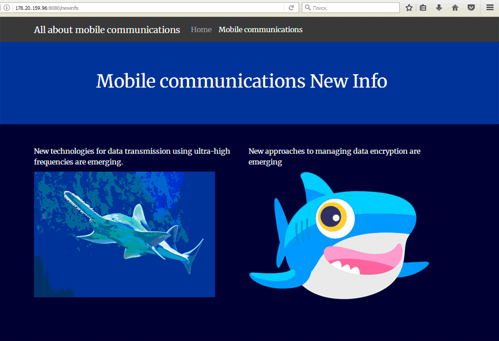 Additional information about mobile